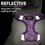 PUPTECK Dog Harness and Leash Set Medium Sized, Step in No Pull Adjustable Puppy Cat Harness Reflective Pet Vest