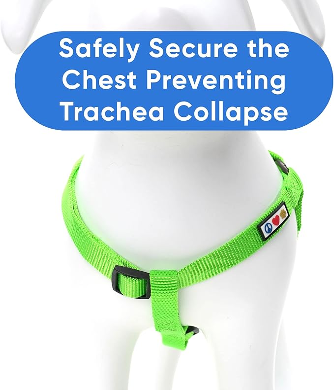 Pawtitas Solid Step-in Dog Harness – Adjustable No-Pull Vest for Puppies to Seniors, Safe & Comfortable L Green