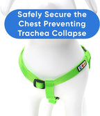 Pawtitas Solid Step-in Dog Harness – Adjustable No-Pull Vest for Puppies to Seniors, Safe & Comfortable XS Green