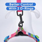 Pawtitas Multicolor Step-in Dog Harness – Adjustable No-Pull Vest for Puppies to Seniors, Safe & Comfortable XS Pink/Blue/Teal/Green