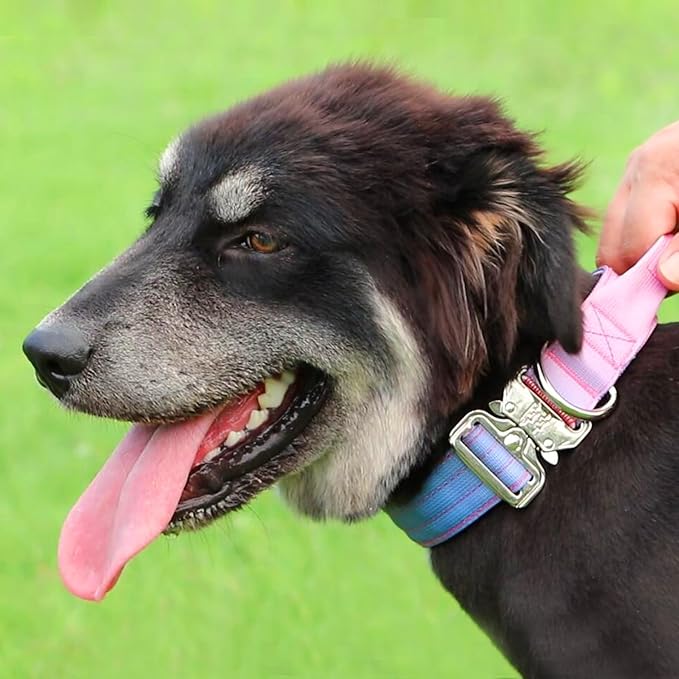 Tactical Dog Collar, 1.5" Wide Thick Heavy Duty Dog Collar with Handle, Soft Neoprene Padded Military-Grade Nylon Training Collar with Quick Release Metal Buckle for Large Dogs (Pink, L,XL)