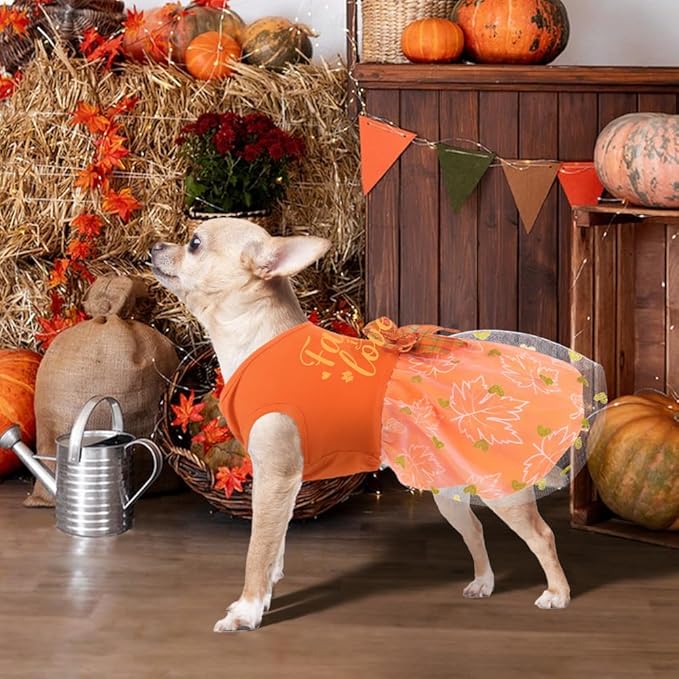 Dog Thanksgiving Outfit Funny Puppy Dog Dress with Bow for Small Medium Dogs Cute Fall Pet Costume for Cats Dogs Thanksgiving Day Halloween