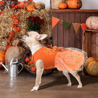 Dog Thanksgiving Outfit Funny Puppy Dog Dress with Bow for Small Medium Dogs Cute Fall Pet Costume for Cats Dogs Thanksgiving Day Halloween