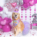 SCENEREAL Dog Birthday Bandana with Hat and Dress Girl Set, Large Dog Birthday Party Supplies, Cute Tutu Skirt Outfit for Medium Big Dogs