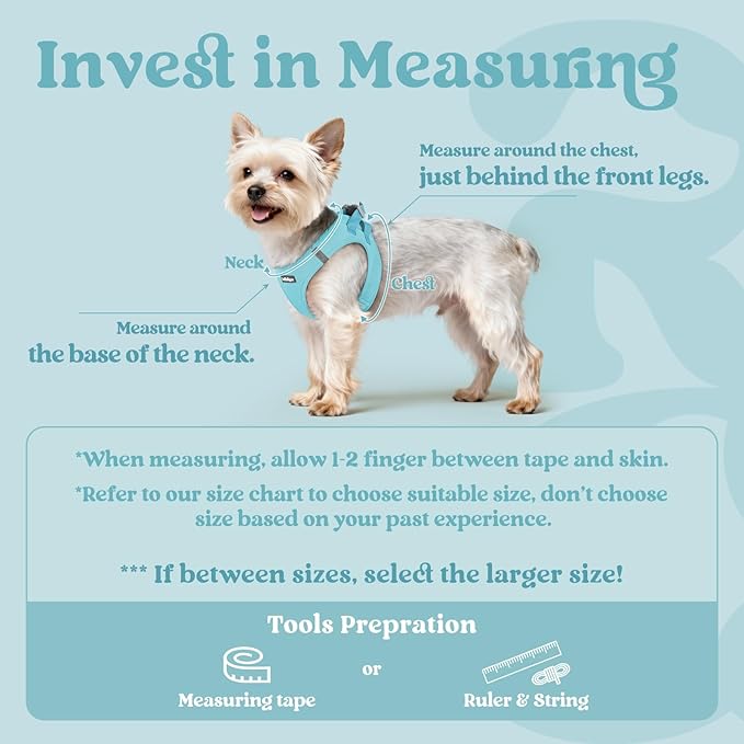 rabbitgoo Small Dog Harness, Step-in Soft Mesh Puppy Vest with Safety Buckle, Breathable Reflective Pet Harness for Small Medium Dogs, Mint Blue L