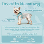 rabbitgoo Small Dog Harness, Step-in Soft Mesh Puppy Vest with Safety Buckle, Breathable Reflective Pet Harness for Small Sized Dogs, Mint Blue S