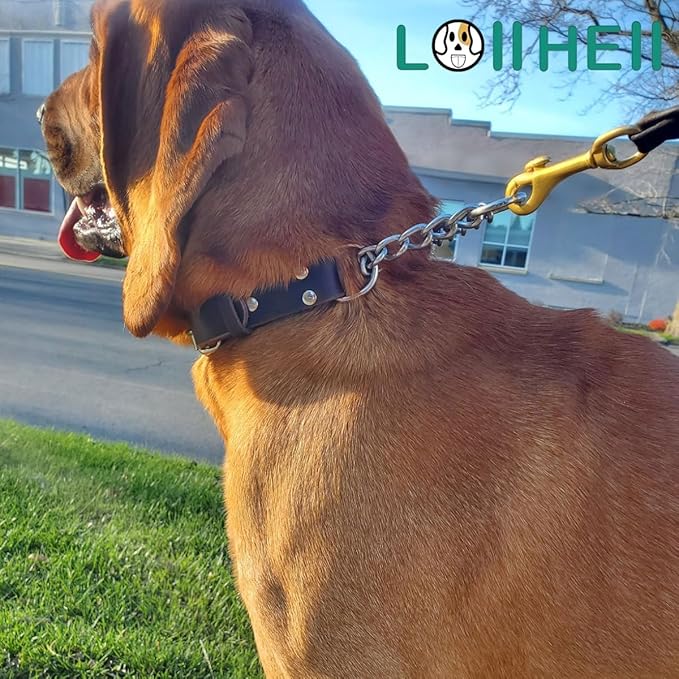 Martingale Collar for Dogs No-Pull Adjustable Training Collar with Stainless Steel Chain - Genuine Leather Anti-Slip Design for Small,Medium,Large Breed Dogs - Brown (M)