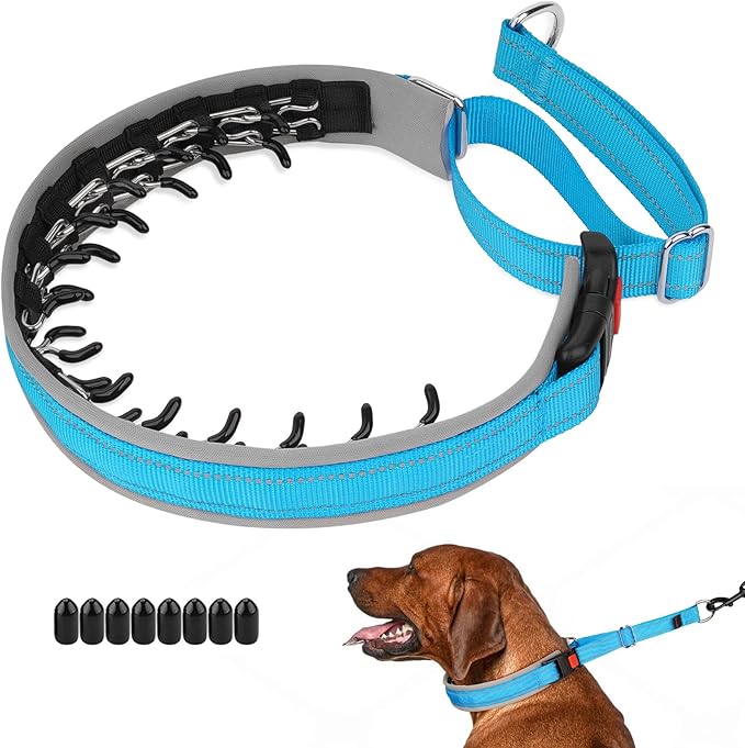 Mayerzon Martingale Dog Collar for Pulling, Patented No Pull Training Walking Collar with Buckle for Medium Large Dogs Bulldog Pitbull German Shepherd, Reflective, Adjustable(L, Light Blue)