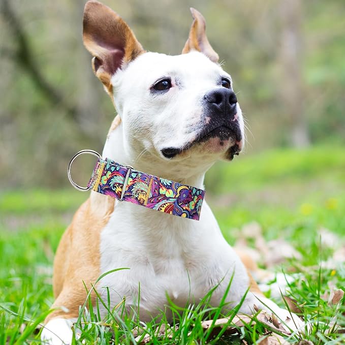 1.5 Inch Wide Martingale Dog Collar - Adjustable No Pull Choke Cinch Escape Proof Training Collar for for Pitbulls, German Shepherds（Tribal M
