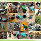 Jecikelon Dog Clothes Dogs Sweater Soft Puppies Clothing Winter Puppy Sweaters Warm Outfit for Dogs Small XXS XS Cat Apparel (Green, S)