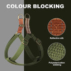 Didog Step in Dog Harness with Metal Buckles, Freedom Nylon Dog Halter Vests for Small Dogs Easy Walking Training(S:Chest 13-22", Green)