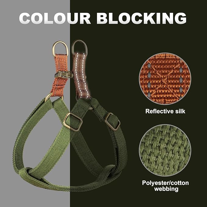 Didog Step in Dog Harness with Metal Buckles, Freedom Nylon Dog Halter Vests for Small Dogs Easy Walking Training(S:Chest 13-22", Green)