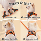 rabbitgoo Dog Harness Small Sized and Leash Set, Step-in Breathable Pet Harness, Soft Walking Reflective Puppy Vest for Small Dogs, Black & Orange, S