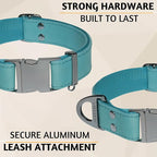 ADITYNA Leather Dog Collar with Metal Buckle - Heavy-Duty, Adjustable for Medium & Large Dogs - Walking, Training, Hiking (Blue, Fits 15-21" Necks)