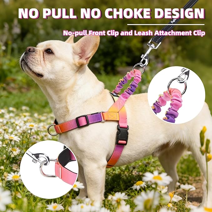 PUPTECK No Pull Dog Harness Small Sized Dog, Adjustable Reflective Pet Vest Harness with Bungee Handle, Escape Proof No Choke Harness for Small Dogs Walking Training, Pink & Purple L