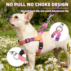 PUPTECK No Pull Dog Harness Small Sized Dog, Adjustable Reflective Pet Vest Harness with Bungee Handle, Escape Proof No Choke Harness for Small Dogs Walking Training, Pink & Purple S