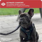 Downtown Pet Supply Step-in Dog Harness – No Pull, Adjustable Padded Mesh with Reflective Trim, Secure Buckle Strap – Comfortable & Breathable Small Dog Harness, Small, Dinosaur