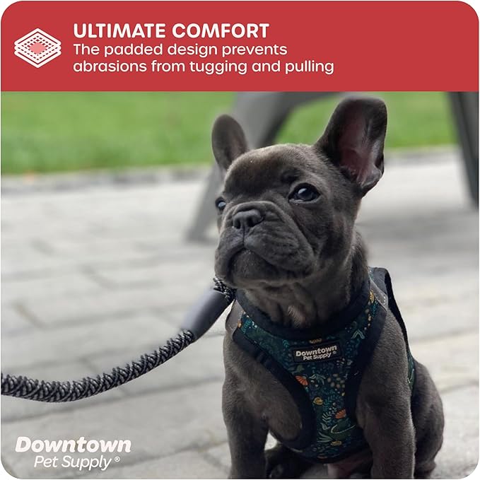 Downtown Pet Supply Step-in Dog Harness – No Pull, Adjustable Padded Mesh with Reflective Trim, Secure Buckle Strap – Comfortable & Breathable Small Dog Harness, Medium, Dinosaur