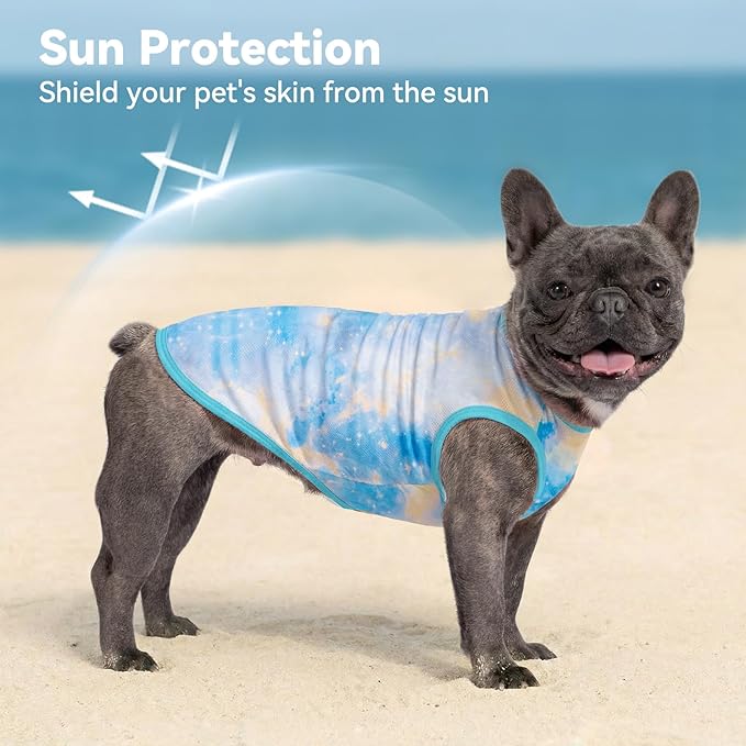cyeollo 2pack Dog Cooling Shirt, Breathable Sleeveless Summer Clothes for Dogs, Intant Cool Dog T Shirts for Small Dogs, Blue Sky L