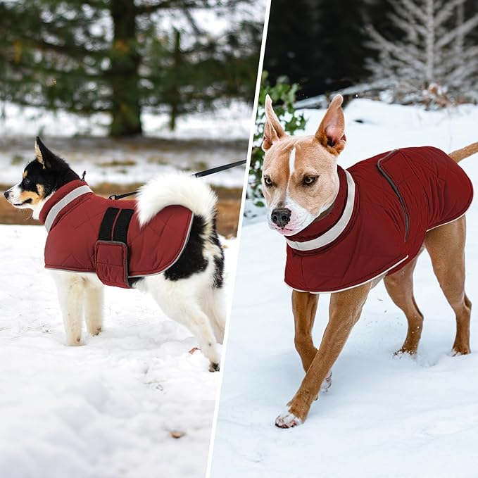 KAMA BRIDAL Dog Winter Coat Warm Padded Puppy Jacket Windproof Water Resistant Clothes for Small Medium Large Pets Christmas Sweater Outfit Vest(Red, S)