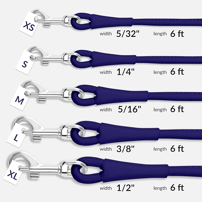 CollarDirect Rolled Leather Dog Leash 6ft, Soft Training Leather Dog Leash for Puppy and Grown Dog Small Medium Large Black Blue Red Orange Green Pink White (Purple, Size XL 6ft)