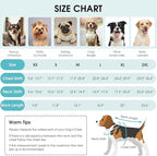 Queenmore Winter Coat, Fleece Puffer Down Vest, Cold Weather Pet Jacket, Waterproof Reflective Reversible Sweater Clothes for Small, Medium and Large Dogs (Light Blue, XS)