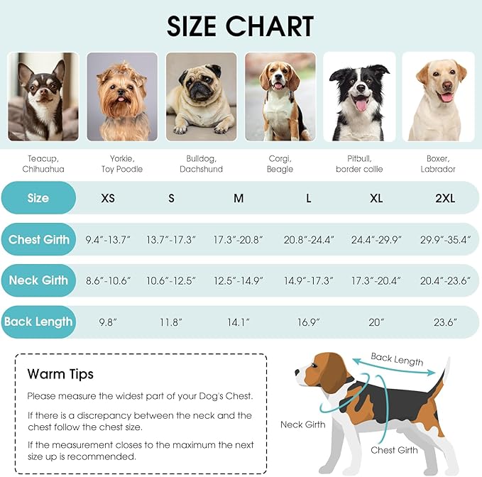 Queenmore Winter Coat, Fleece Puffer Down Vest, Cold Weather Pet Jacket, Waterproof Reflective Reversible Sweater Clothes for Small, Medium and Large Dogs (Light Blue, XS)