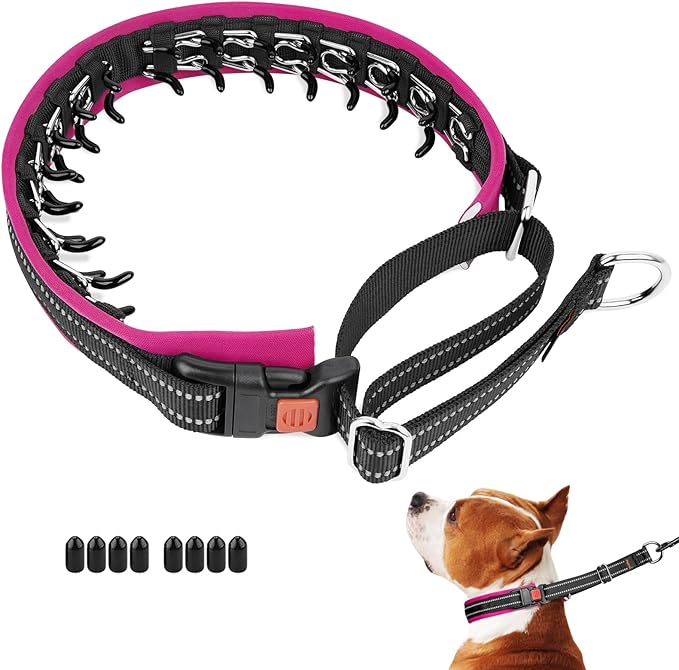 Mayerzon Martingale No Pull Collar for Medium Large Dogs, Patented Anti Pull Dog Collar with Buckle for Walking Training, with Neoprene Padding and Reflective Stitching, Adjustable(Hot Pink Trim, L)
