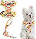 PUPTECK Thanksgiving Fall Small Dog Harness and Leash Set, No Pull Adjustable Puppy Cat Harness, Reflective Soft Mesh Pet Vest Small Sized, Leaves, S