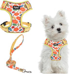 PUPTECK Thanksgiving Fall Small Dog Harness and Leash Set, No Pull Adjustable Puppy Cat Harness, Reflective Soft Mesh Pet Vest Small Sized, Leaves, S