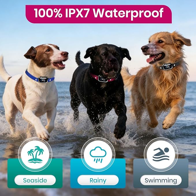 PetJoy 3-Dog Training Collars & Shock Collar for 3 Dogs, with Lockable Shock - Shock Lock Mode Switches to Tone & Vibe Only, Includes Rechargeable Remote with 4000ft Range (9 Tones)