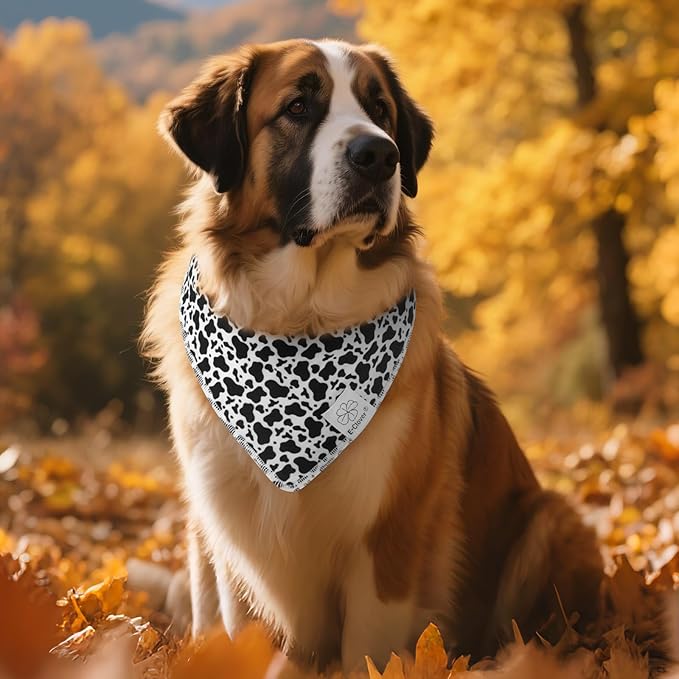 E-Clover Cow Print Dog Bandanas & Matching Scrunchie Set Fall Cowboys Theme Dog Scarf Bibs Pet Bandana with Bow Tie for Medium Large Dogs Owner Mom Black White