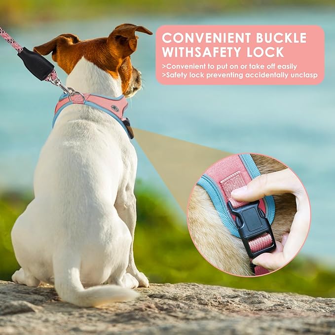 Dog Harness and Leash Set, No Pull Saddle Style Pet Harness, Breathable Mesh Adjustable Reflective Dog Vest for Dogs and Cat Medium Small Harness 2 D-Rings (Pink, XS)