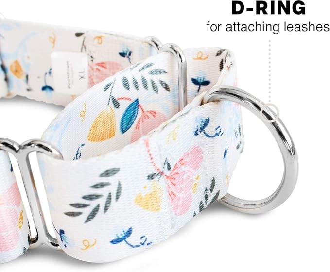 Downtown Pet Supply - Martingale Collar for Dogs - Dog Training Collar - Big, Wide & Thick Dog Collar - Escape-Proof, Weatherproof, Durable and Comfortable - Floral - Extra Large Dog Collar