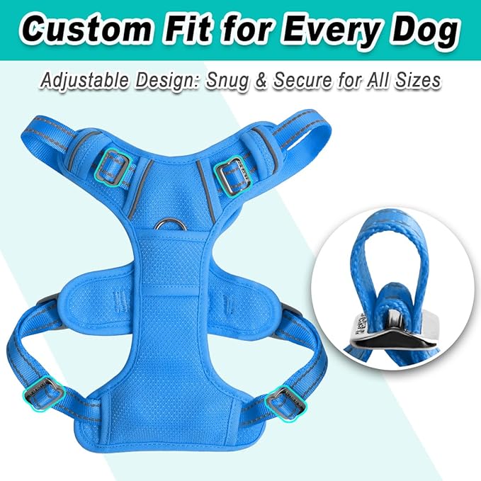 BARKBAY Dog Harness No Pull Mesh for Medium Dogs - Adjustable, Reflective, Comfortable, No Choke, Heavy-Duty - Perfect for Outdoor Training, Walking, and Hiking - Strong & Durable - M & Blue Mesh