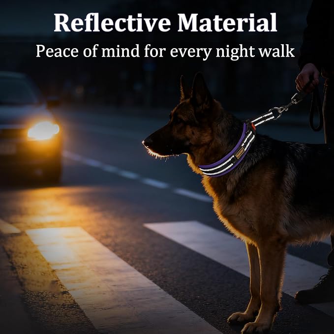 Mayerzon 1.5" Wide Martingale Collar for Large Medium Small Dogs Pitbull German Shepherd, No Pull Reflective Slip Martingale Dog Collar with Buckle Soft Padded for Walking Training(Purple,S)