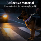 Mayerzon 1.5" Wide Martingale Collar for Large Medium Small Dogs Pitbull German Shepherd, No Pull Reflective Slip Martingale Dog Collar with Buckle Soft Padded for Walking Training(Purple,XL)