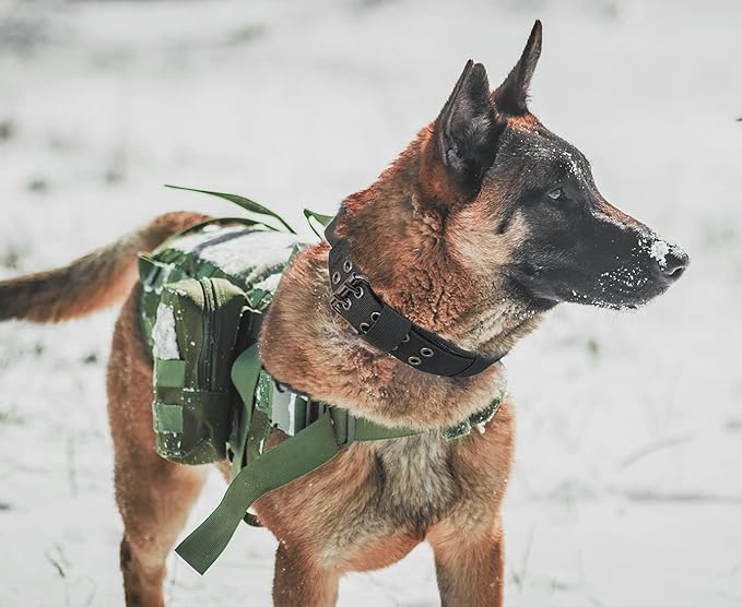 Tactical Dog Collar with Handle - Military Adjustable Dog Training Collar Soft Nylon and Heavy Duty Metal Buckle for Medium Large Dogs - with Patch (Black with Patch, Large)