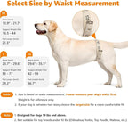 LOOBANI Portable Dog Sling for Back Legs, Hip Support Harness to Help Lift Dogs Rear for Canine Aid and Old K9 Cruciate Ligament Rehabilitation