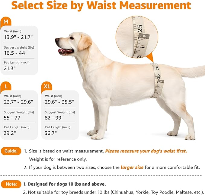 LOOBANI Portable Dog Sling for Back Legs, Hip Support Harness to Help Lift Dogs Rear for Canine Aid and Old K9 Cruciate Ligament Rehabilitation
