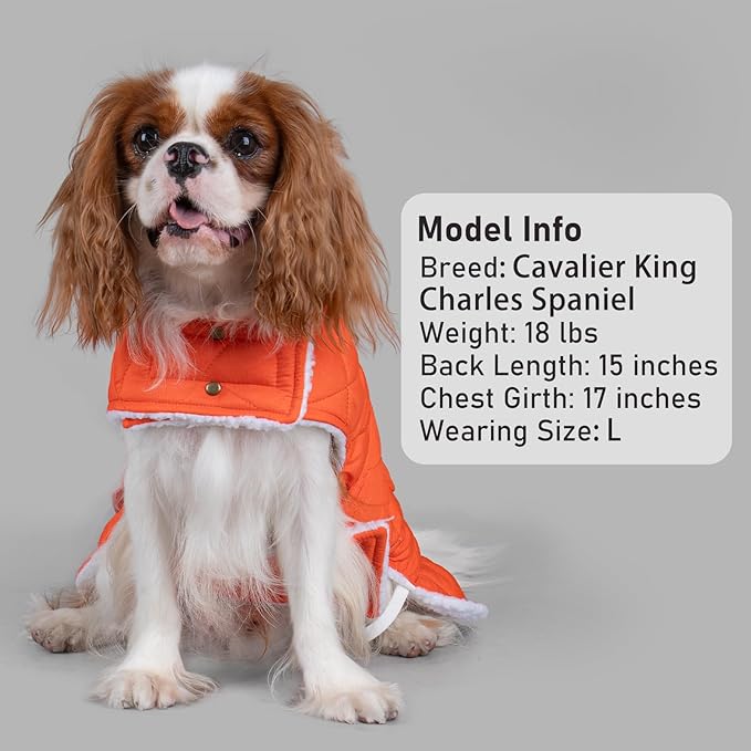 KYEESE Dog Coat Windproof Dog Coats for Small Dogs Thick Pets Clothes with Pocket Waterproof Dogs Jacket with Fleece Lined Warm Pet Winter Puffer Coat with Leash Hole Soft Pet Sweater for Cold Weather