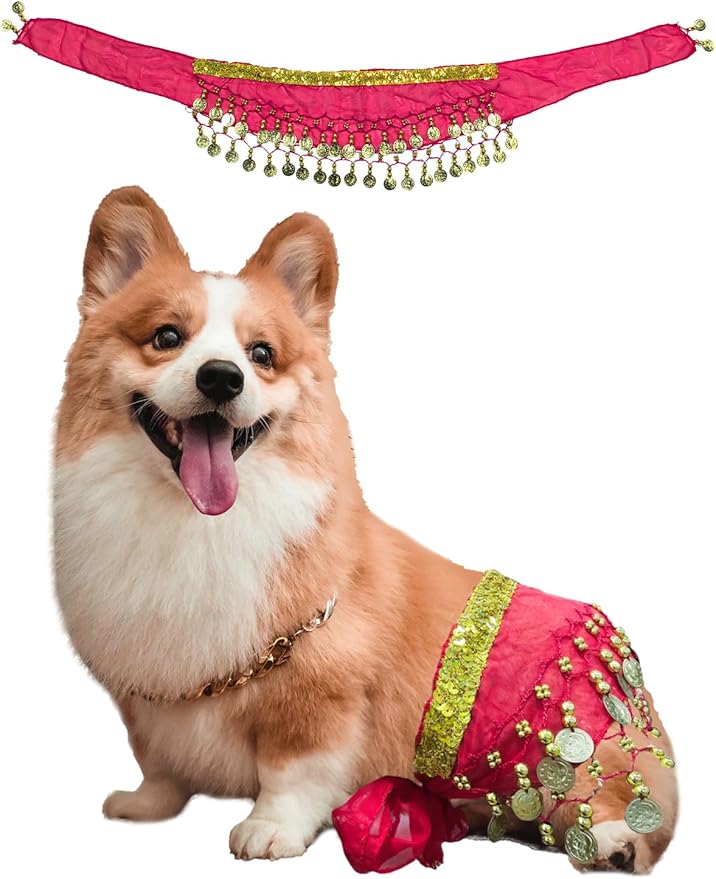 Dog Belly Dancer Costume - Puppy Outfit with Sequin Waist Chain & Hip-Shaking Skirt - Ideal for Corgi and Puppy Birthday Parties or Halloween Celebrations(Small,Rose Red)