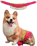 Dog Belly Dancer Costume - Puppy Outfit with Sequin Waist Chain & Hip-Shaking Skirt - Ideal for Corgi and Puppy Birthday Parties or Halloween Celebrations(Small,Rose Red)