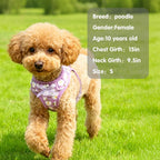 PUPTECK Dog Harness for Puppy and Small Sized Dogs, Step-in No Pull Soft Mesh Vest Harness for Cats Small Pets Walking, Purple Dasiy, New XXS