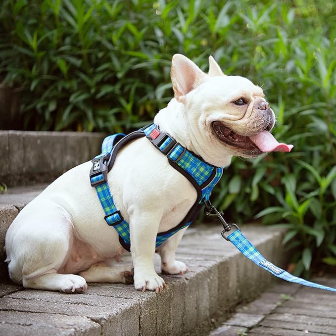 PoyPet No Pull Dog Harness, Reflective Adjustable No Choke Pet Vest with Front & Back 2 Leash Attachments, Soft Control Training Handle for Small Medium Large Dogs(Checkered Blue & Green,M)