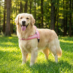 Didog No Pull Dog Harness with Soft Padded, Easy Walk Dog Harness with Quick Release Buckle, Adjustable & Reflective Pet Harness with Soft Padded for Medium Large Dogs (L:Chest 26-33", Pink)