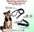Martingale Collar for Dogs, Biothane, Stainless Steel Hardware, No Pull, Made in The USA, Professional Grade, XS, Black