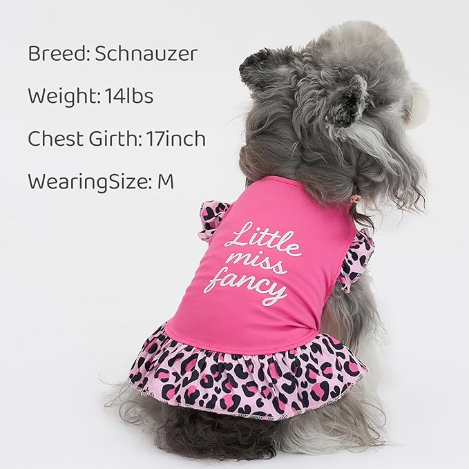 XPUDAC 4 Pack Cute Dog Dress for Small Dog, Floral Pet Clothes Sweet Girl Puppy Dress Colorful for Birthday Holiday Spring Summer Pet Outfits Skirt for Girls, XXS