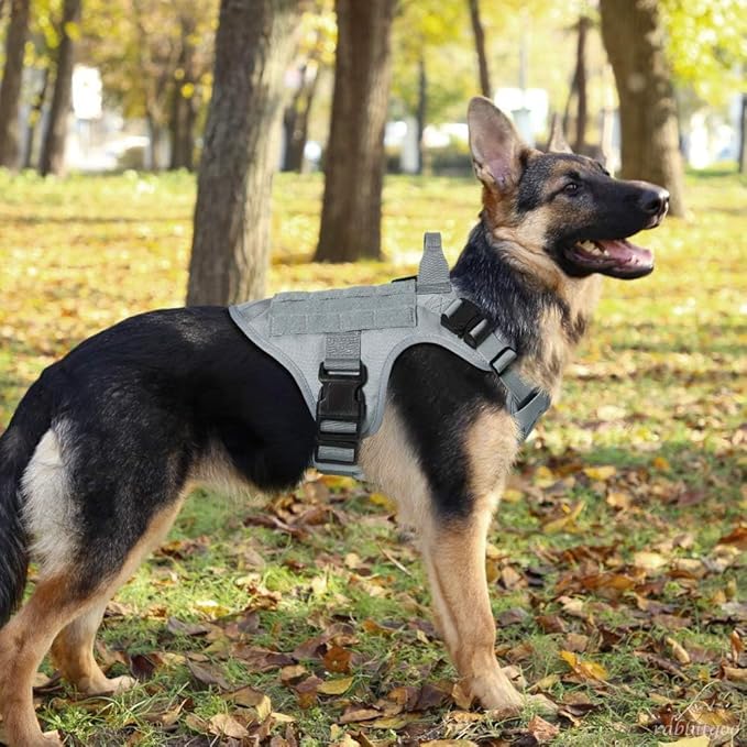 rabbitgoo Tactical Dog Harness for Small, Heavy Duty Pet Harness with Handle, No-Pull Service Vest Small Breed, Adjustable Military Dog Vest for Training Hunting Walking, Grey, S