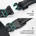 PHOEPET 2019 Upgraded No Pull Dog Harness, Reflective Adjustable Vest, with a Training Handle + 2 Metal Leash Hooks+ 3 Snap Buckles +4 Slide Buckles(M, Royal Blue)